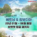 제이제이여행사 이미지