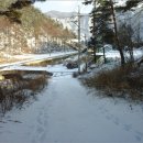 정선컨설팅