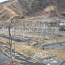 귀래부동산공인중개사사무소 | 원주시 귀래면 운계리 토지 매매
