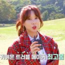 대보기획