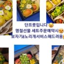 밴드홀릭&단프룻 이미지