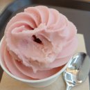 서대회무침 아이스크림 이미지