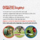 영국동물병원 이미지