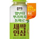 매일인삼
