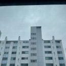 계룡2차세탁소 | 정왕동 아파트 유리창 청소 - 계룡2차 백화, 니코틴 제거