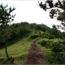 신흥초교 이미지