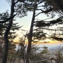 청계산 주차장 | 겨울 등산 준비물 청계산 등산코스 주차장 난이도 일출등산