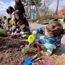 마곡8 열린숲어린이집 이미지