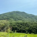 단성식자재마트 이미지