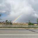 (주)에스엠 백석동화지점 | 개짱 좋아하는 가을 일상