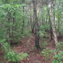 김삿갓면-12 이미지