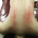 인춘빌딩 이미지