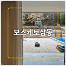 탑플러스마트 | 울산풀빌라 자쿠지 수영장 독채 숙소 보스케토삼동 A동 후기