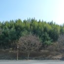 수목원 입구 이미지