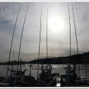 갈맷길(1코스) 이미지