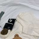 곰돌이청과