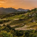 최신농장 이미지