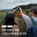 이동농장 | 공주밤체험농장 도깨비마을 밤줍기 후기 캠핑장 애견동반 가능해요!