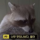 미식구락부