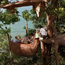 둥지식당 이미지