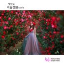 씨유제주제원중앙점 | 제주도⑧ :: 머들정원 café 【26년1월18일】