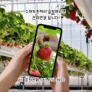 (주)비에스팜 이미지