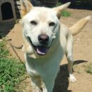 장금농장 이미지