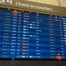 054 | [호주 여행] 젯스타(Jetstar) 브리즈번행 JQ054 후기 + 좌석/ 기내식