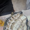 청정회타운 이미지