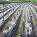 내유농장 이미지