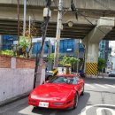 클럽 몬스터 (Club Monster) 이미지