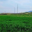 호미곶경관영농조합법인 이미지