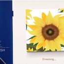 플라잉 브러쉬 이미지