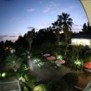 제주카사블랑카 이미지