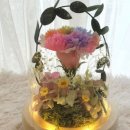 늘솜아토