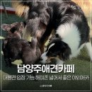 야구장외곽화장실 | 대형견 입장 가능 해피존 남양주애견카페 넓어서 뛰기 좋은 야외애견카페