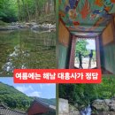 해남 여행 7월 가볼만한곳 해남 대흥사 즐기는 방법 알려줄게!