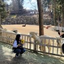 향정목장 | [겨울 제주 여행] 2022년 2월 :: 3박 4일 제주도 여행 후기 (4일차) 🦙🏎