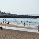 원담 민박 | 제주 이호테우 해수욕장 후기! 조랑말 등대와 일몰이 절경인 인기 좋은 해수욕장! [이춘근 제주여행...