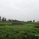 한강 자전거도로8 이미지