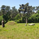 연안부부인전씨묘 이미지