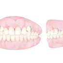 해미인치과교정과치과의원 이미지