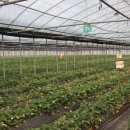 석조농장 이미지