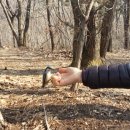 우남공인중개사사무소 이미지