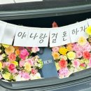 플로피아 이미지