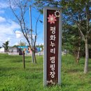 자연누리힐링 | 평화누리 캠핑장, 서울 근교 가족 힐링 캠핑 명소
