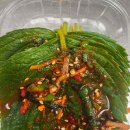 숭인정신건강의학과의원 이미지