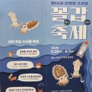 백운카정비센타 | 서천 희리산해송자연휴양림 야영장 캠핑 후기 - 재정비한 데크정보