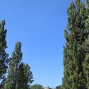 찾아가는 발코니 버스킹 | [유럽여행] day1. 뮌헨_ 다하우 수용소를 다녀오다. (독일여행, 뮌헨여행, 동유럽여행, 혼자 유럽여행)