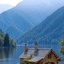 착한바보 이미지